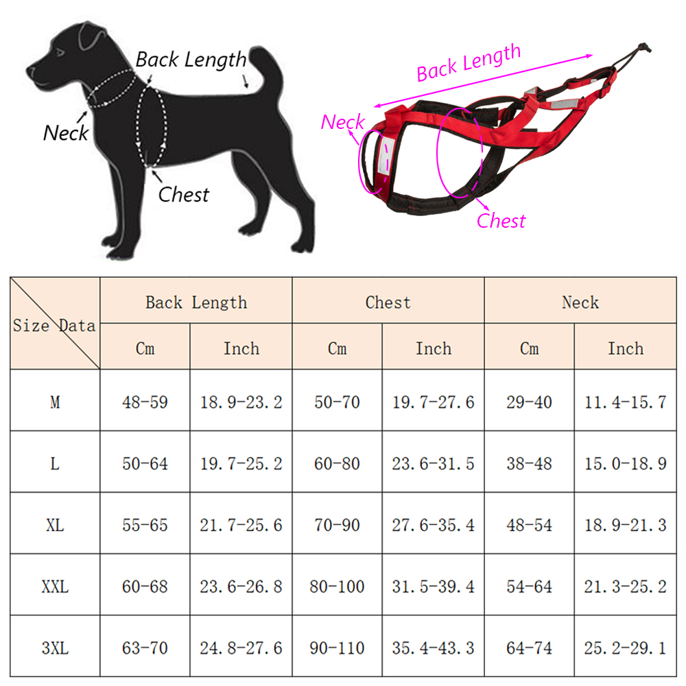 Wysokiej jakości szelki do san – Running Gear Dog recenzja i cena