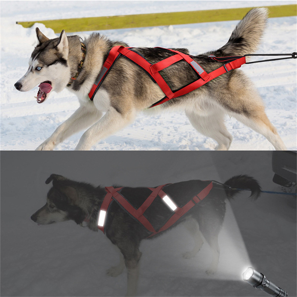 Wysokiej jakości szelki do san – Running Gear Dog recenzja i cena