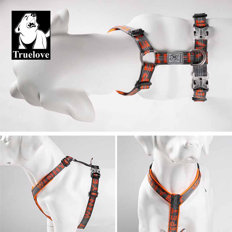 TRUELOVE Uprząż dla zwierząt K – Running Gear Dog recenzja i cena