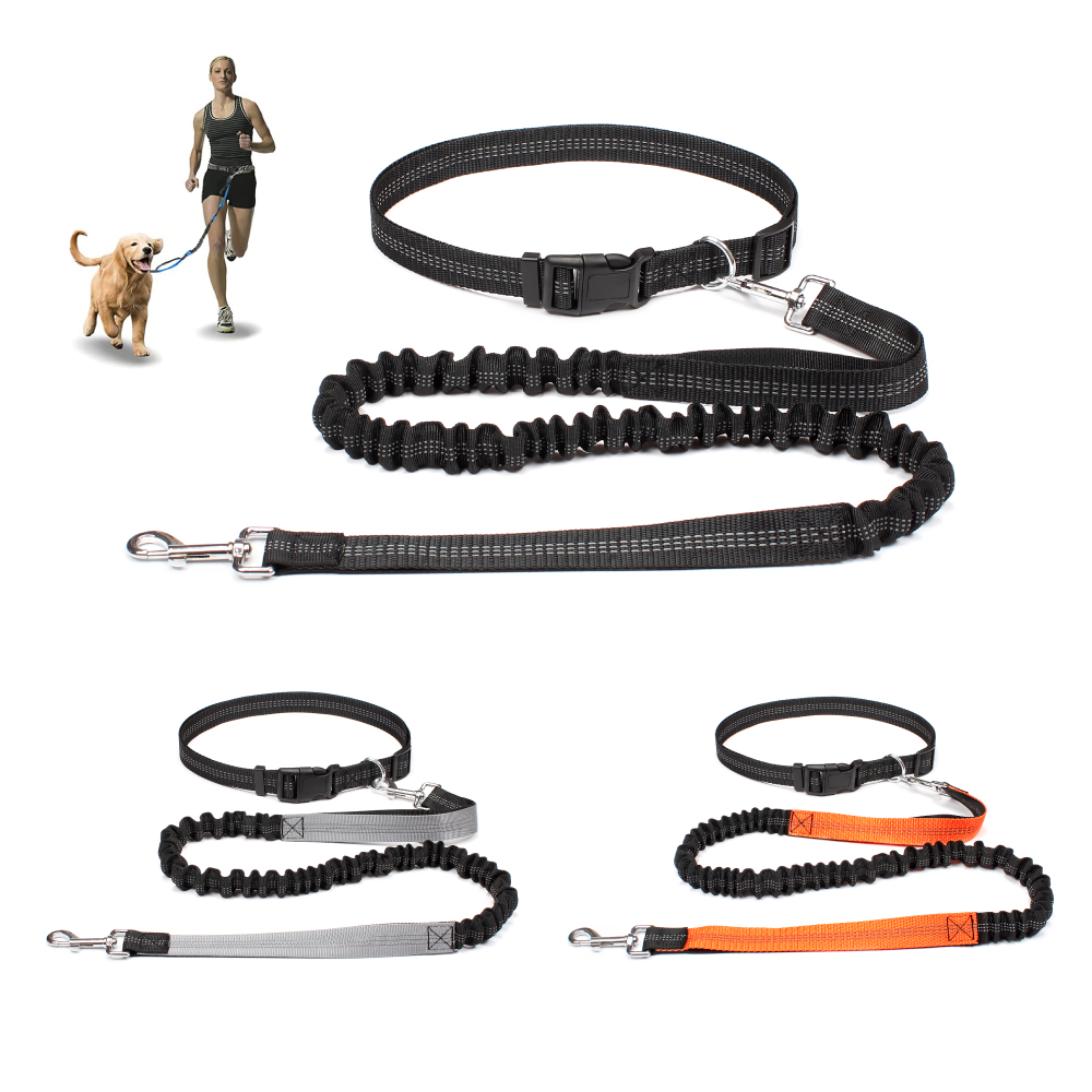 Smycz dla psa bez użycia rąk d – Running Gear Dog recenzja i cena