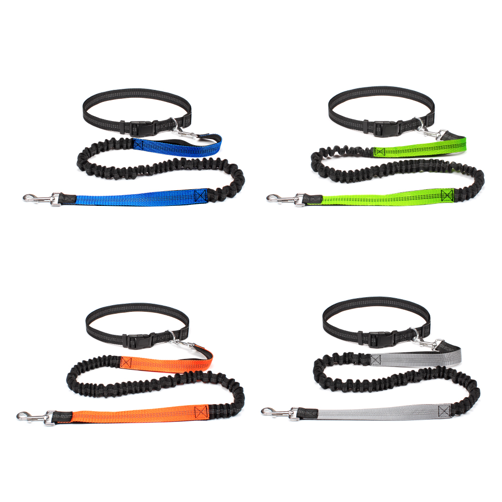 Smycz dla psa bez użycia rąk d – Running Gear Dog recenzja i cena