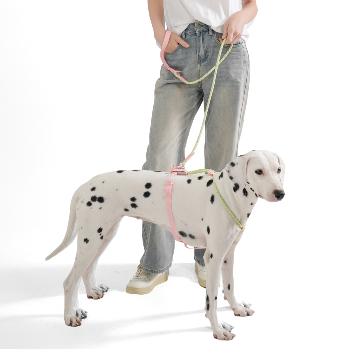 Szelki dla małych i średnich p – Running Gear Dog recenzja i cena
