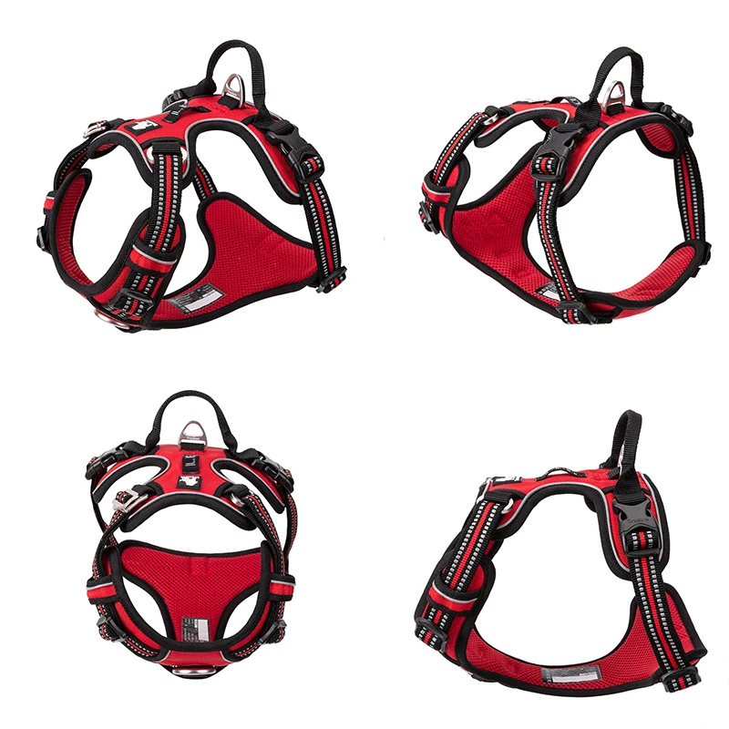 Truelove Odblaskowa nylonowa u – Running Gear Dog recenzja i cena