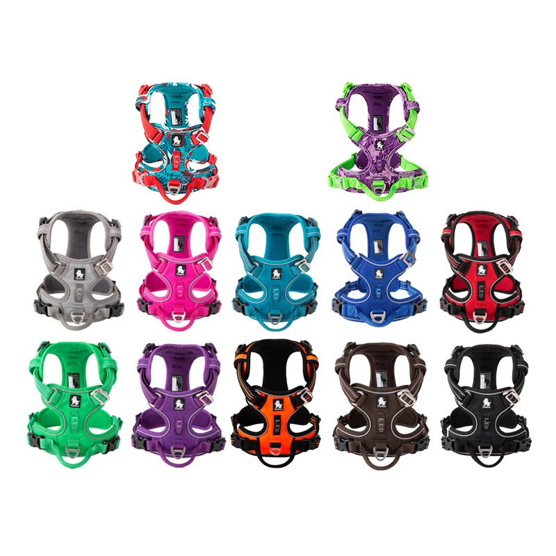 Truelove Odblaskowa nylonowa u – Running Gear Dog recenzja i cena
