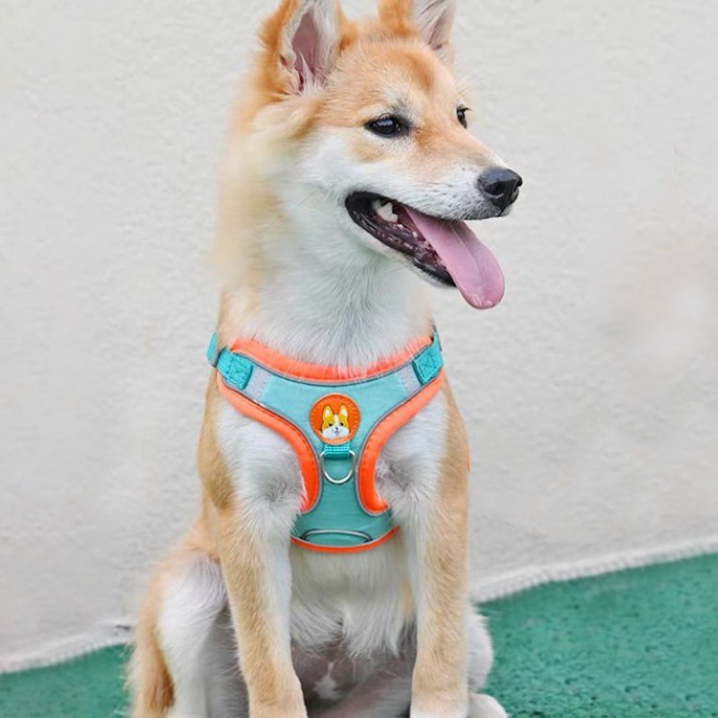 Odblaskowa uprząż dla psa z re – Running Gear Dog recenzja i cena